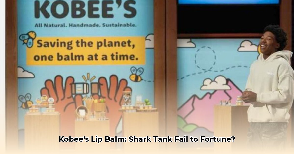 kobees-lip-balm-net-worth